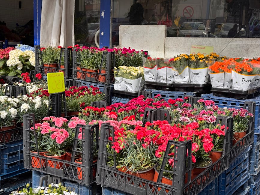 An outdoor display of various potted flowering plants organized in black plastic crates on a sidewalk. The arrangement features pink, red, white, yellow, and orange blooms, including carnations and da