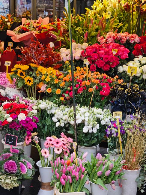 A vibrant display of fresh flowers in a florist shop window, featuring an assortment of colorful blooms including pink and white tulips, pink roses, bright yellow sunflowers, purple and white daffodil