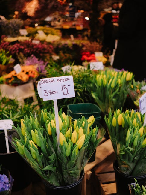 A close-up view of a display at a flower market featuring several potted bouquets of fresh yellow tulips with closed buds and vibrant green leaves, arranged in clear plastic sleeves inside black plast