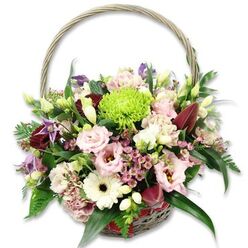 BASKET 1